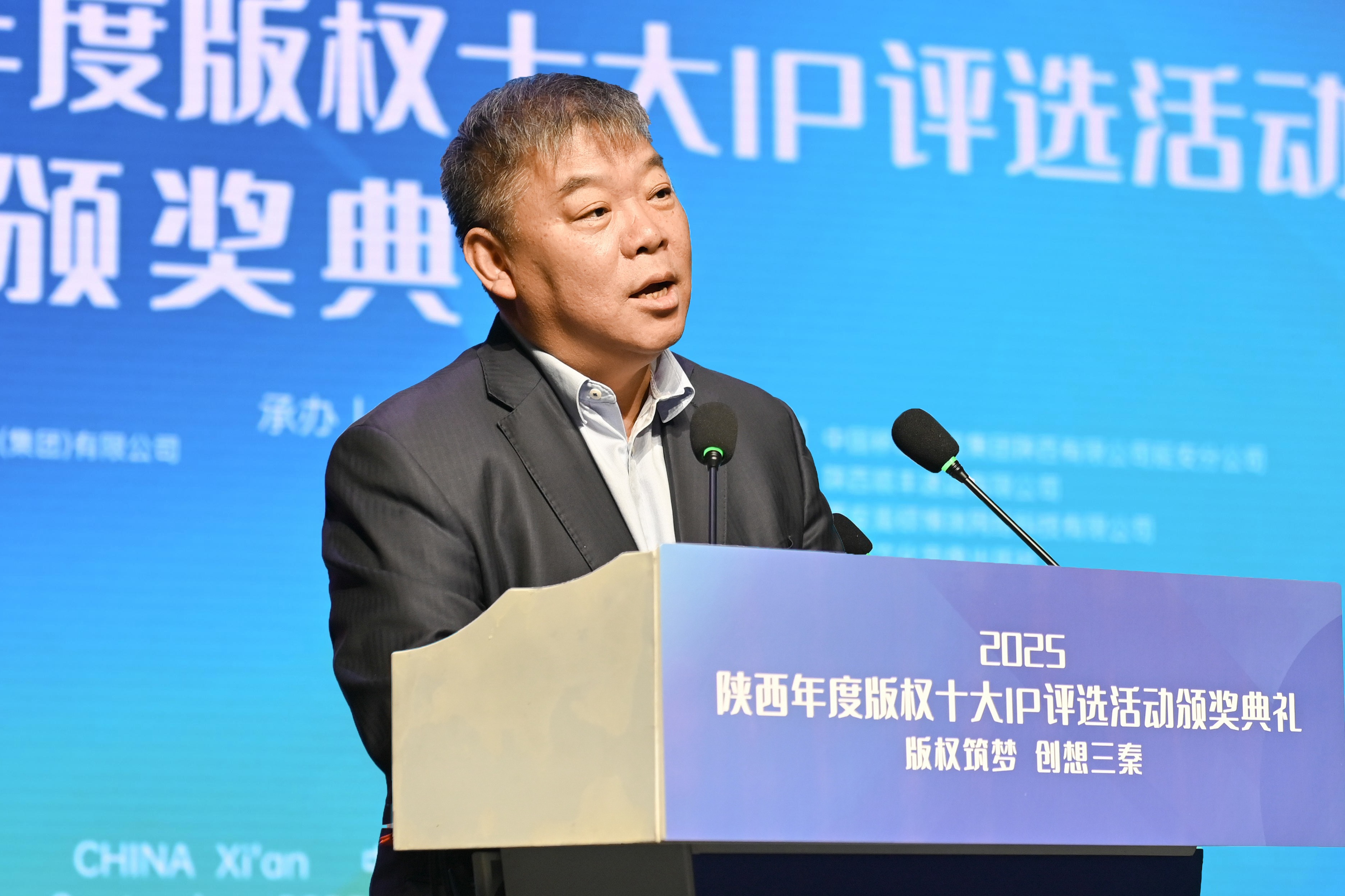 陕西省版权协会首席专家沙庆超